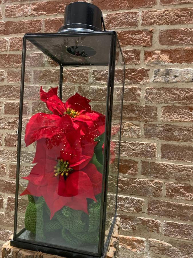 Al Pozzo Di Luce Venezia Suites Eksteriør bilde